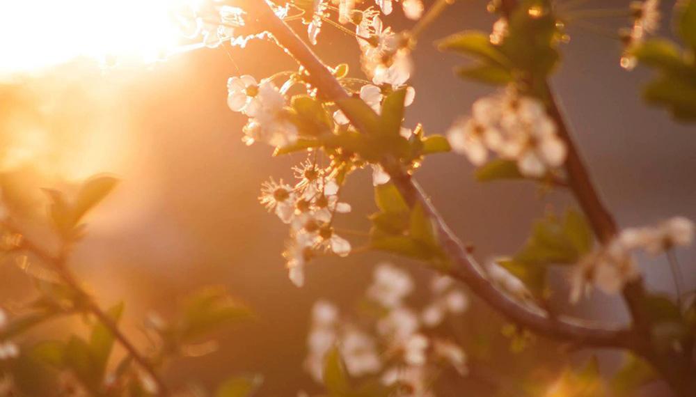 Especialistas del INTA esperan una primavera “sin anomalías”