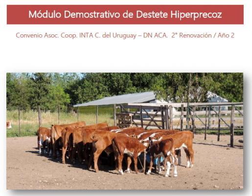 Avances del Módulo Demostrativo Destete Hiperprecoz