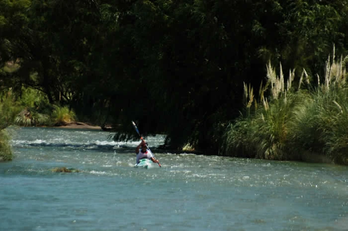 Dsc0185.webp