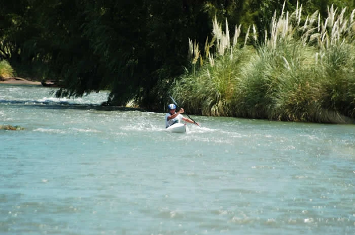 Dsc0203.webp