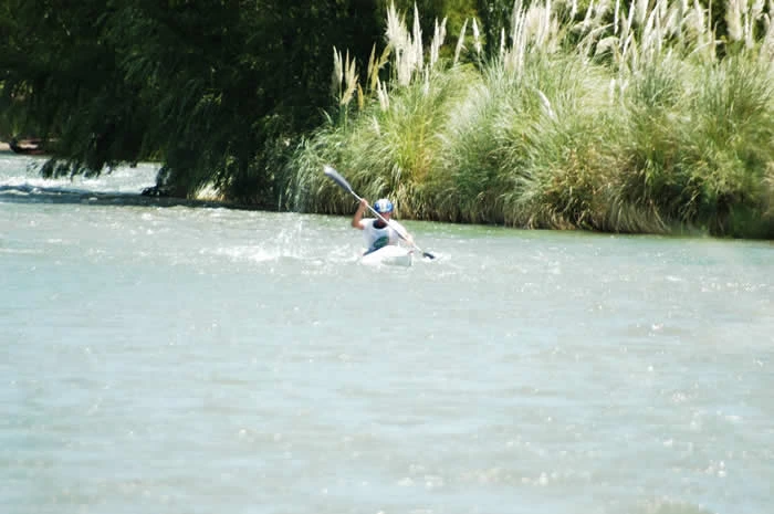 Dsc0204.webp
