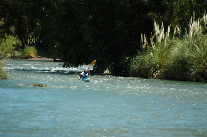 Dsc0242.webp