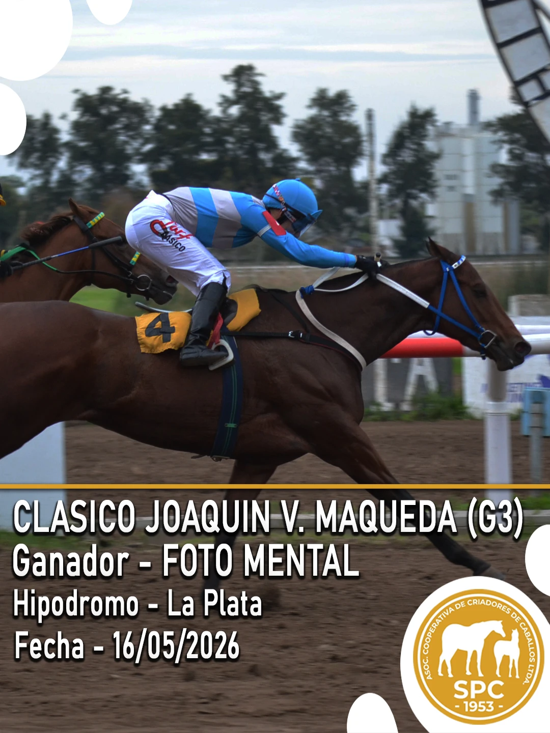 NewsletterTemporada2026-230.webp