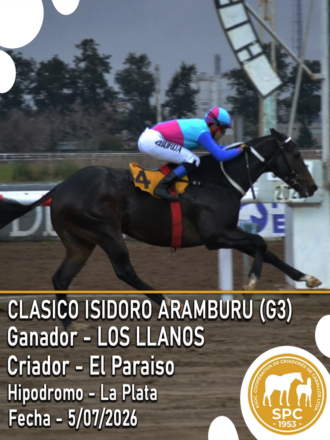 NewsletterTemporada2026-233-(3787).webp