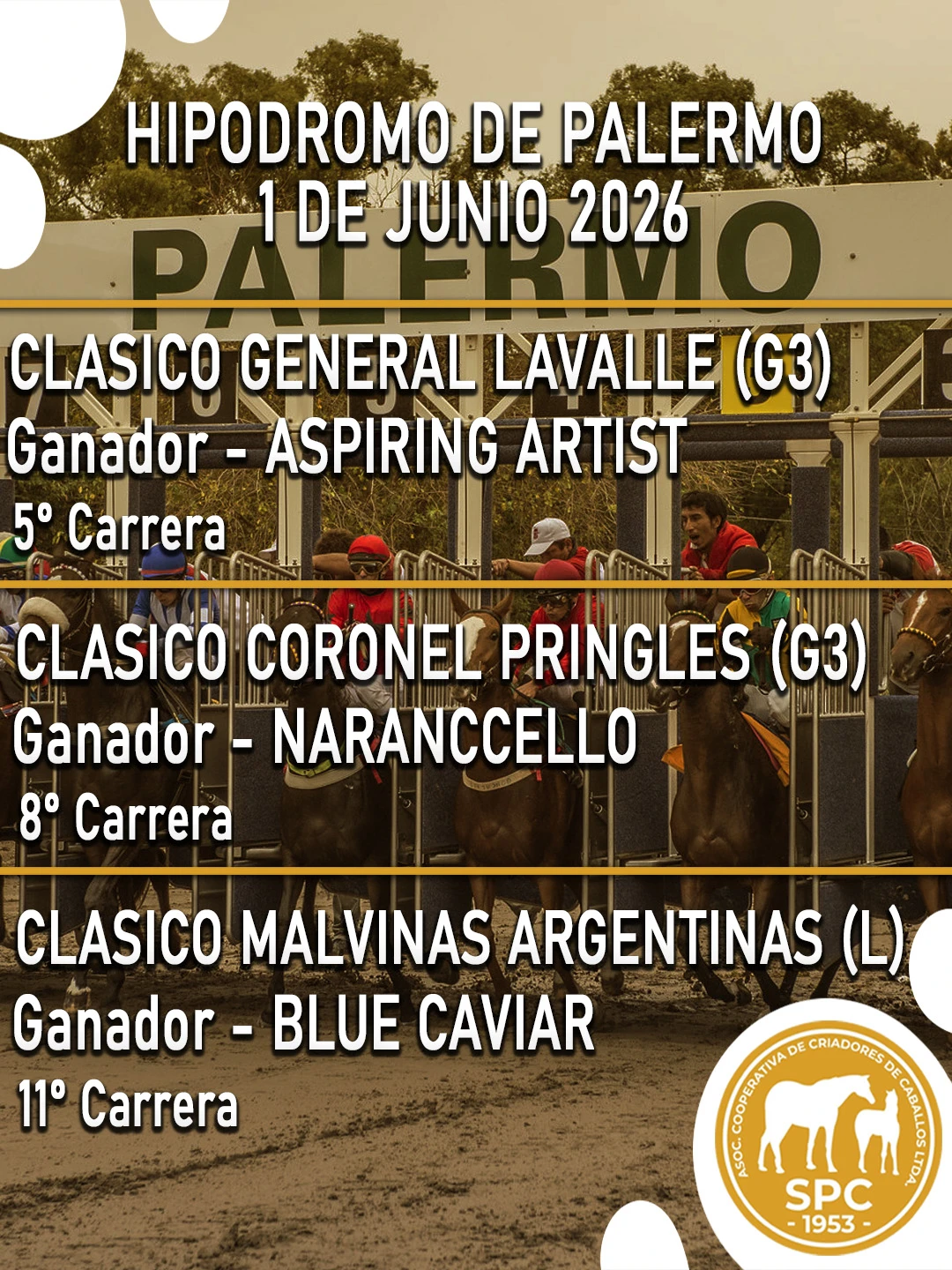 NewsletterTemporada2026-233.webp