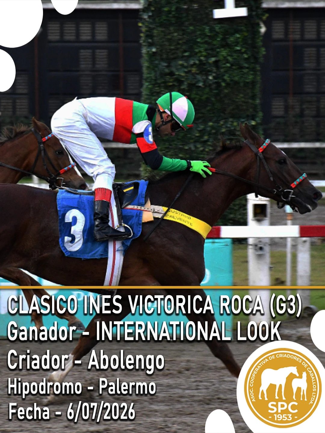 NewsletterTemporada2026-234-(8325).webp