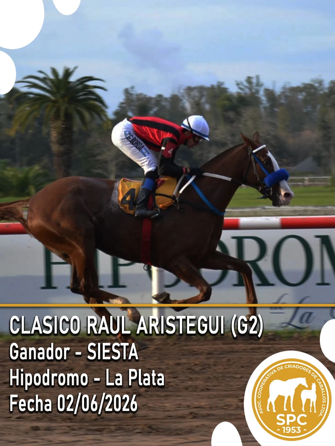 NewsletterTemporada2026-234.webp