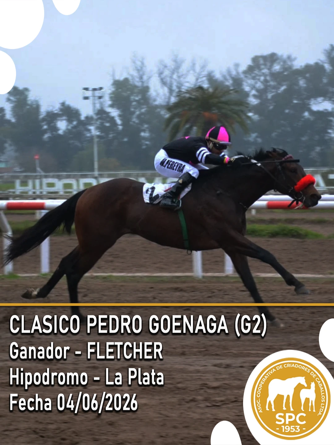 NewsletterTemporada2026-235.webp