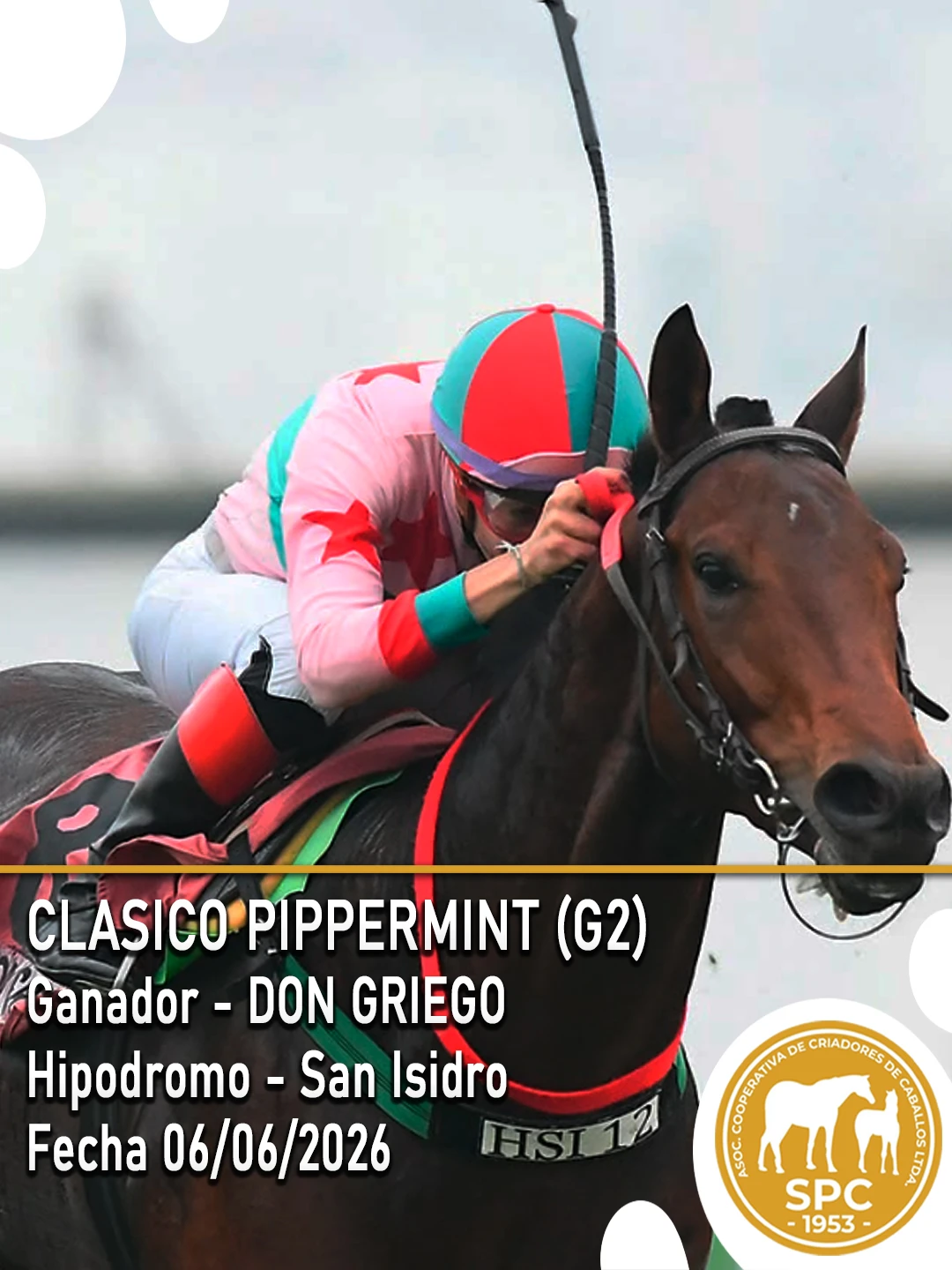 NewsletterTemporada2026-236.webp