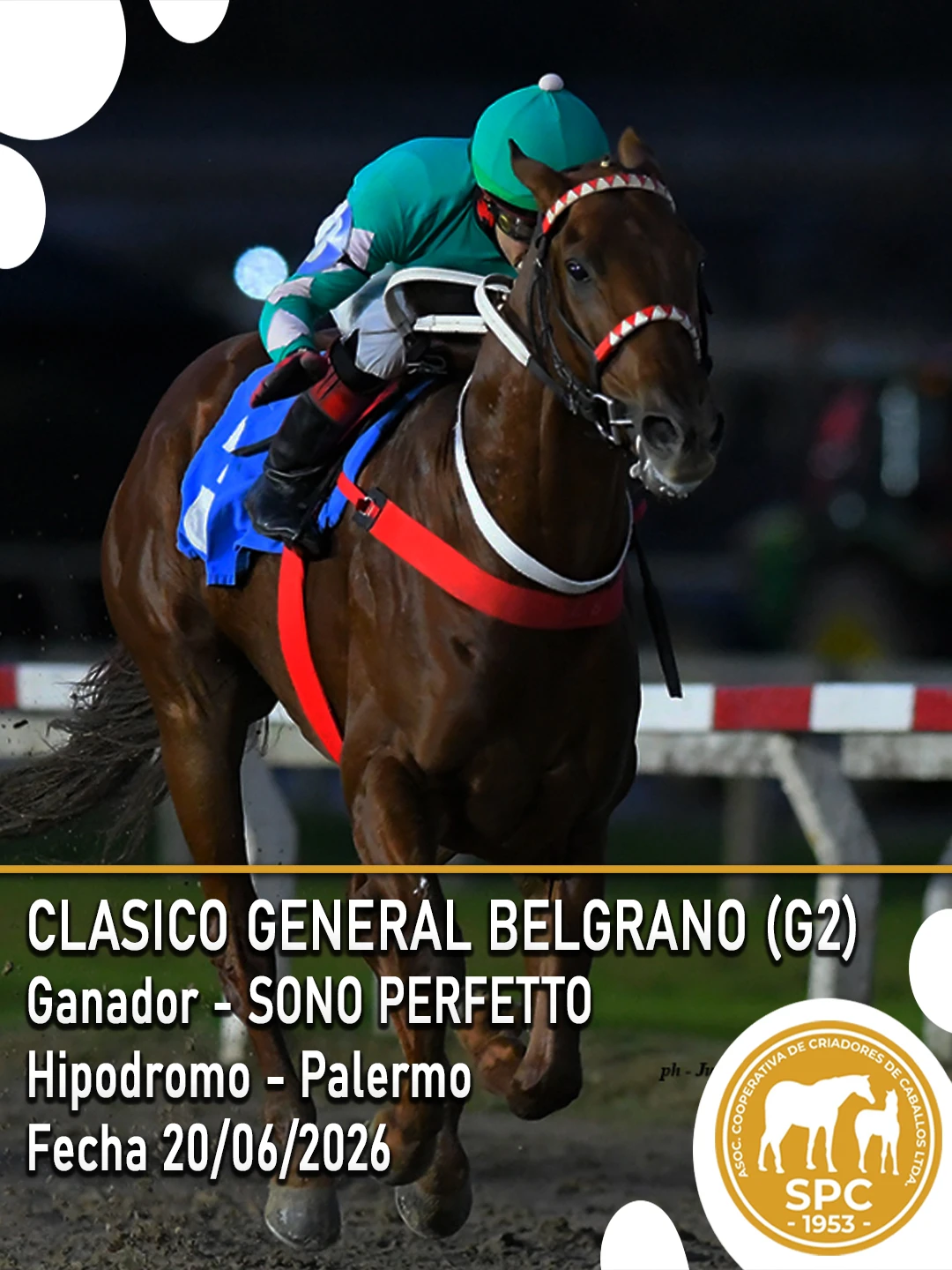 NewsletterTemporada2026-237.webp