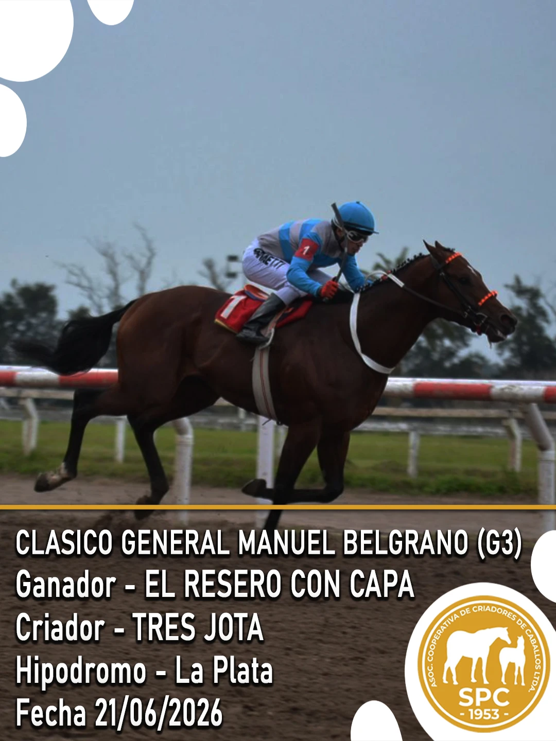 NewsletterTemporada2026-238.webp