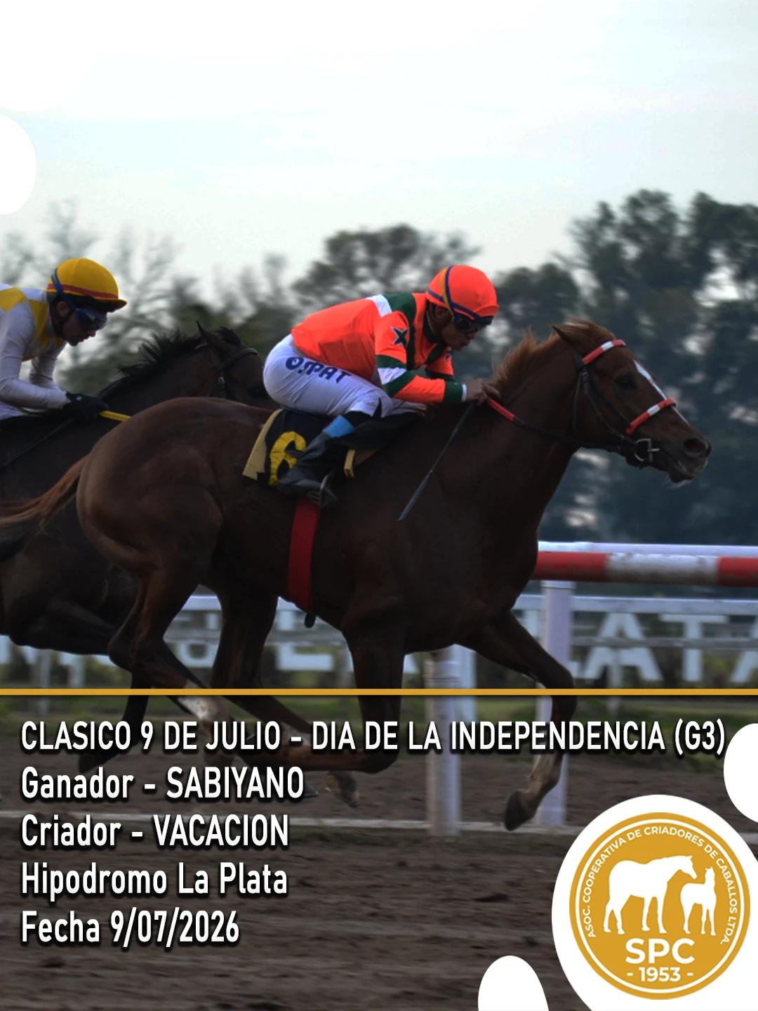 NewsletterTemporada2026-240.webp