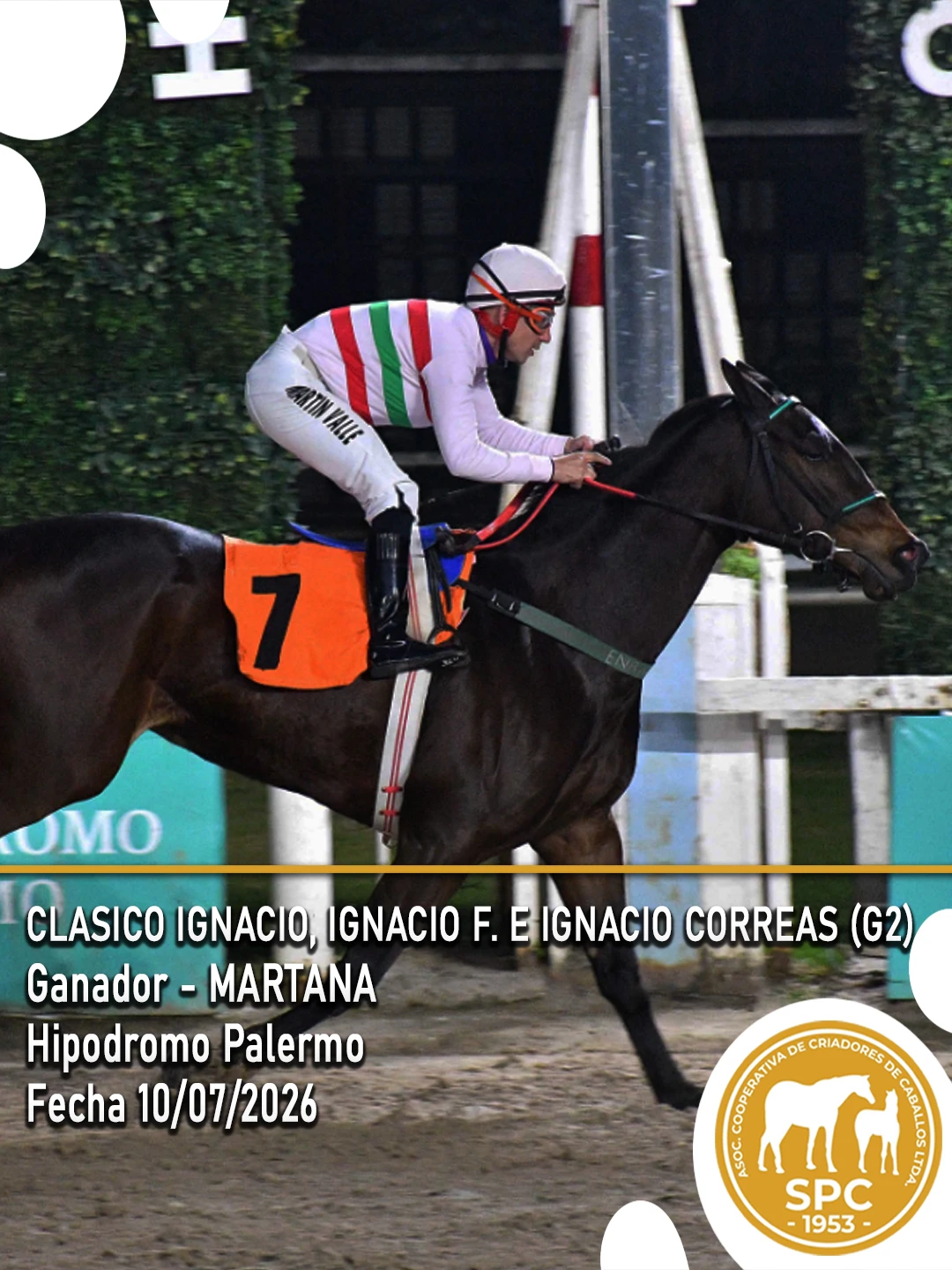 NewsletterTemporada2026-241.webp