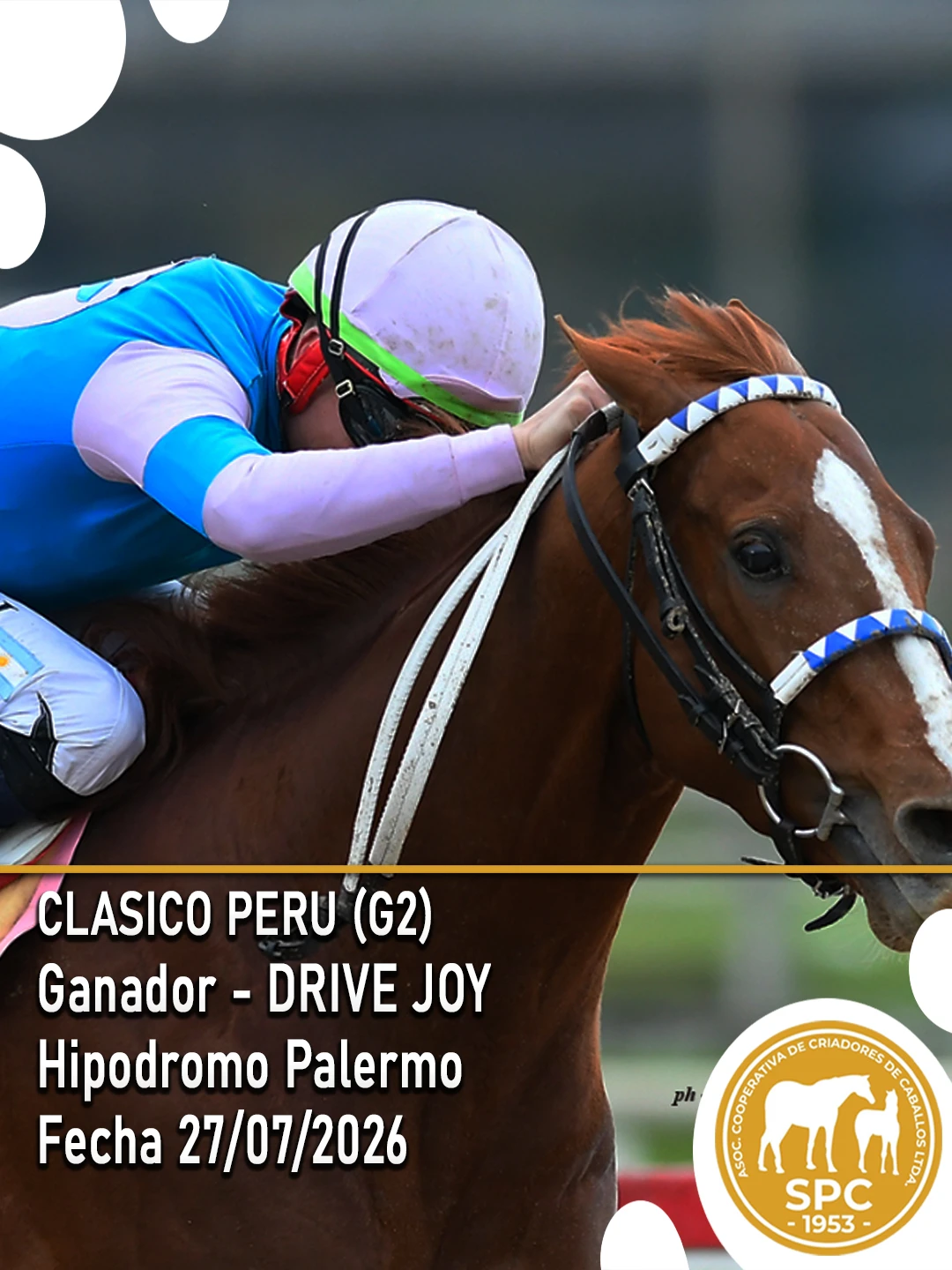 NewsletterTemporada2026-244.webp