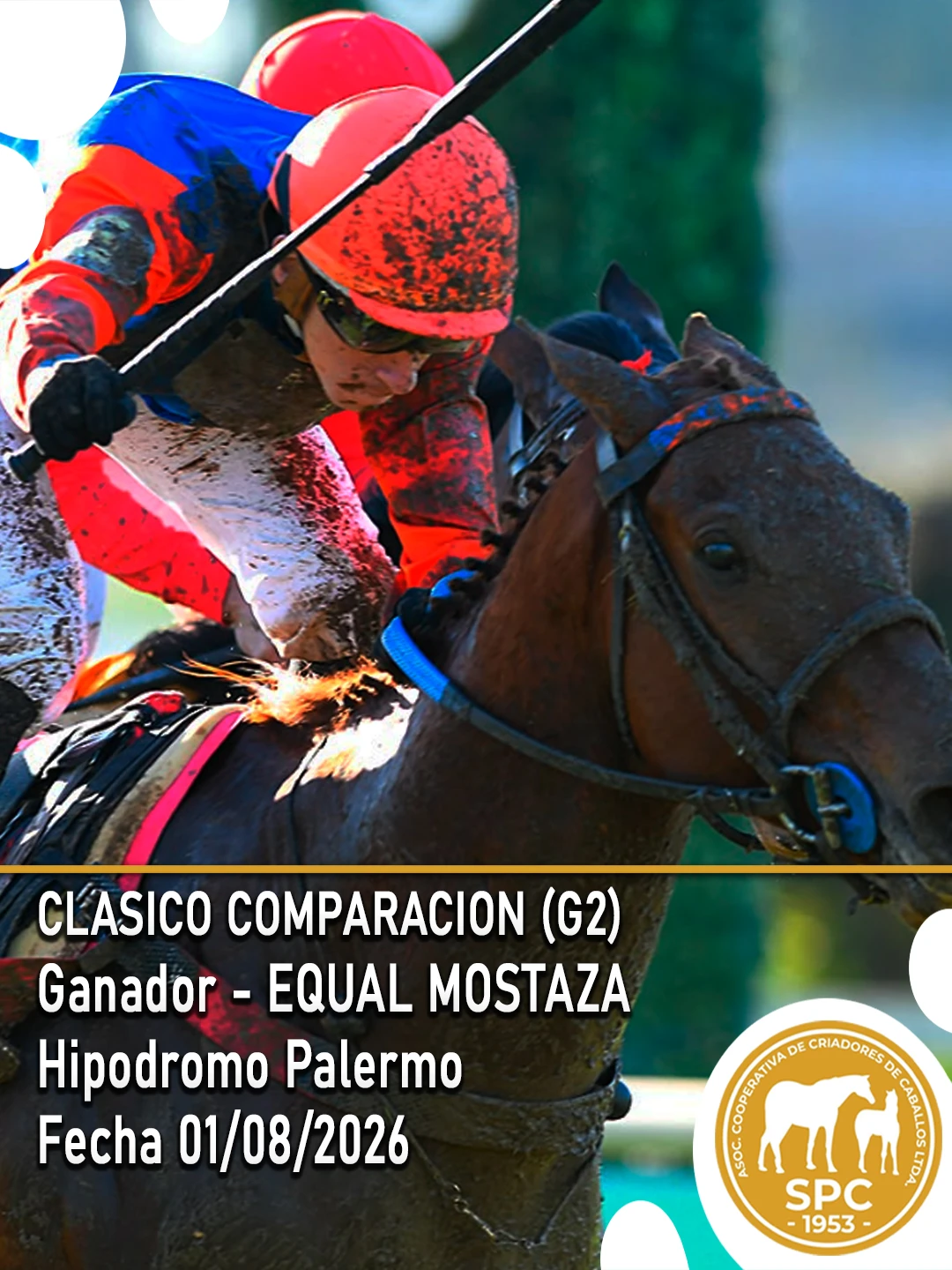 NewsletterTemporada2026-245.webp