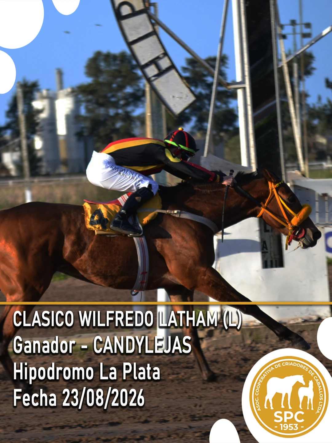 NewsletterTemporada2026-248.webp