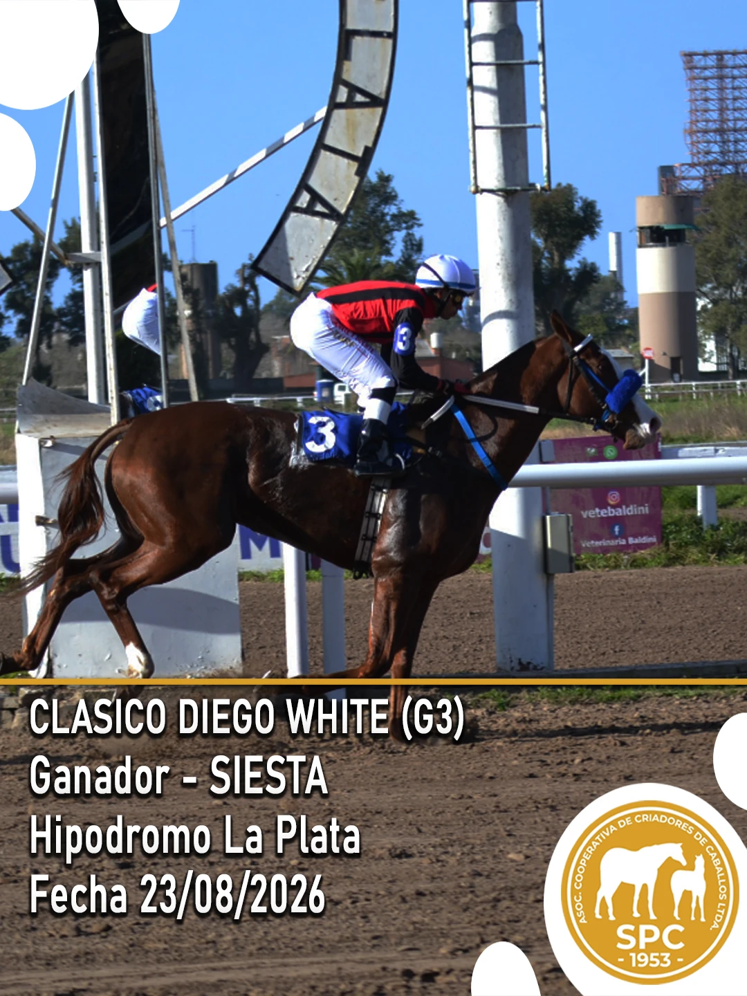 NewsletterTemporada2026-249.webp