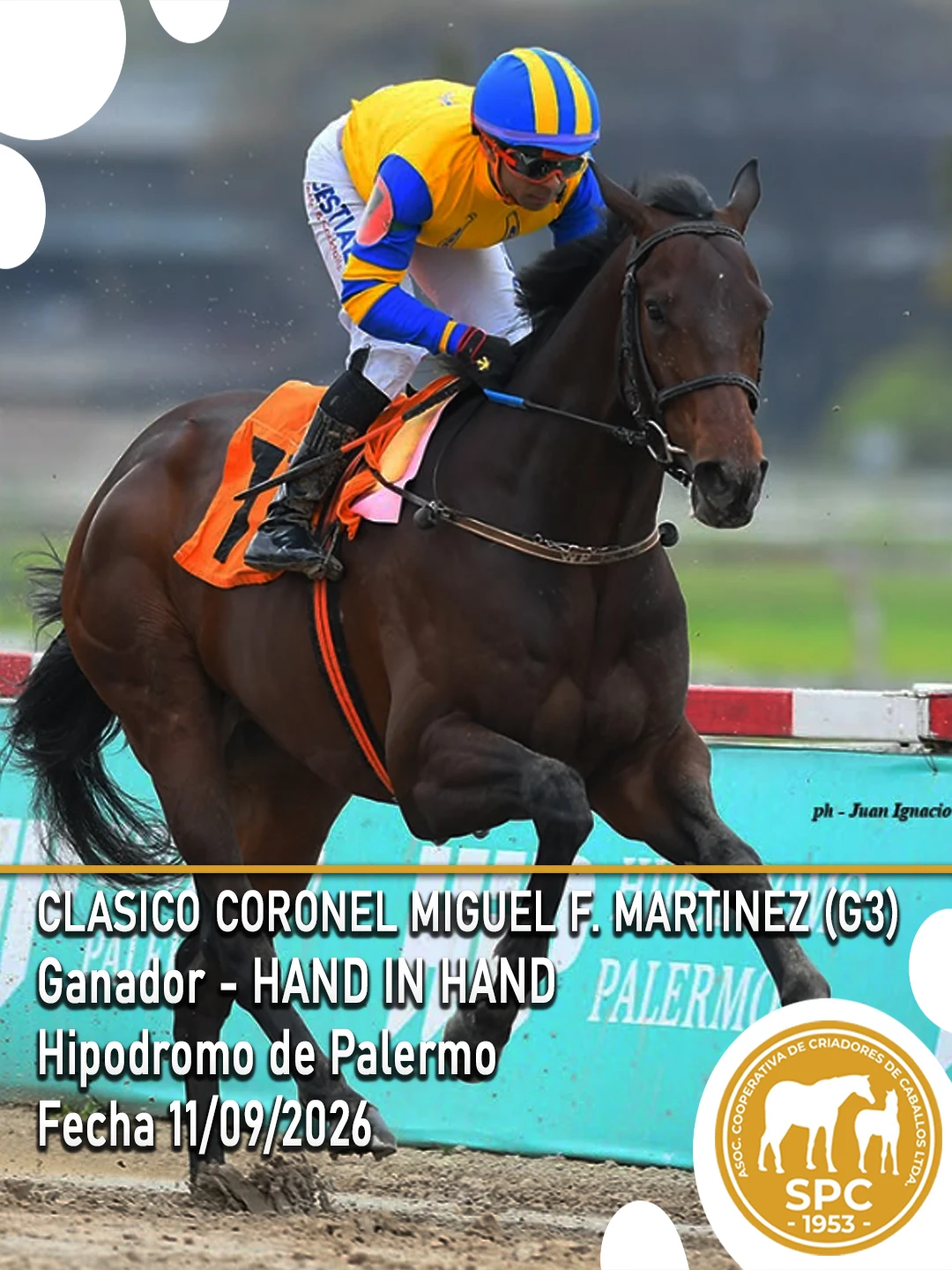 NewsletterTemporada2026-250.webp