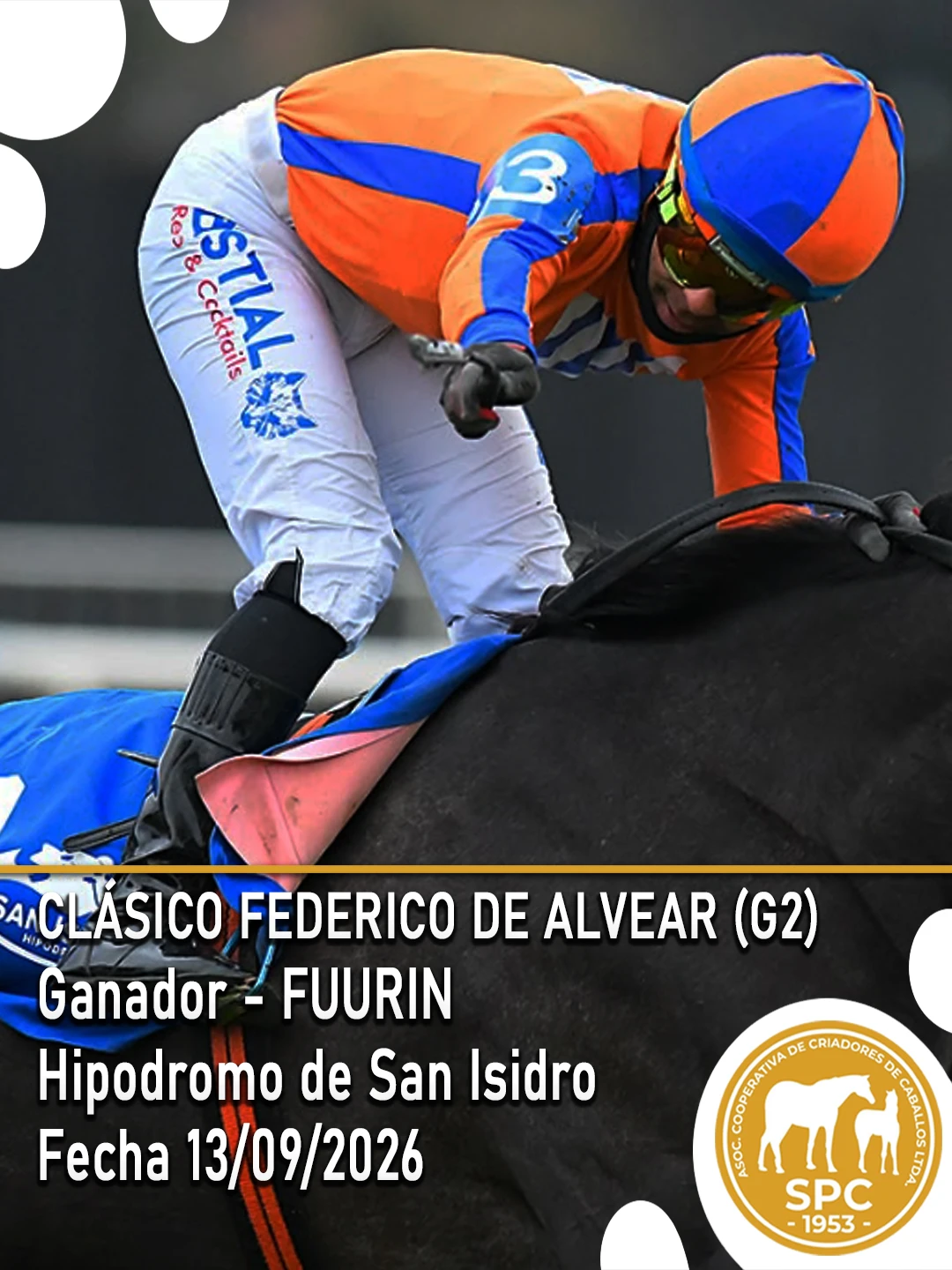 NewsletterTemporada2026-252.webp