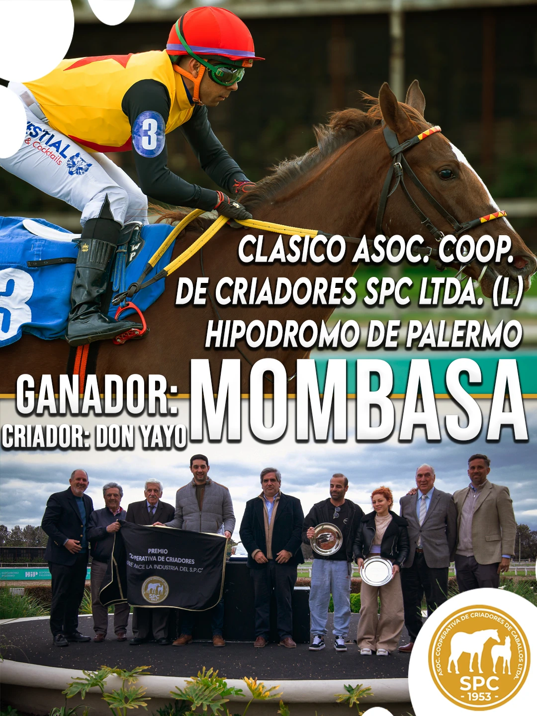NewsletterTemporada2026-254.webp