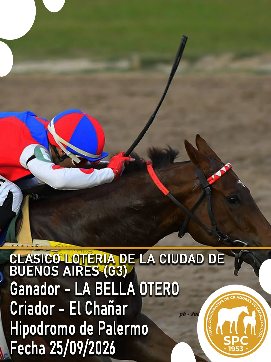 NewsletterTemporada2026-256.webp