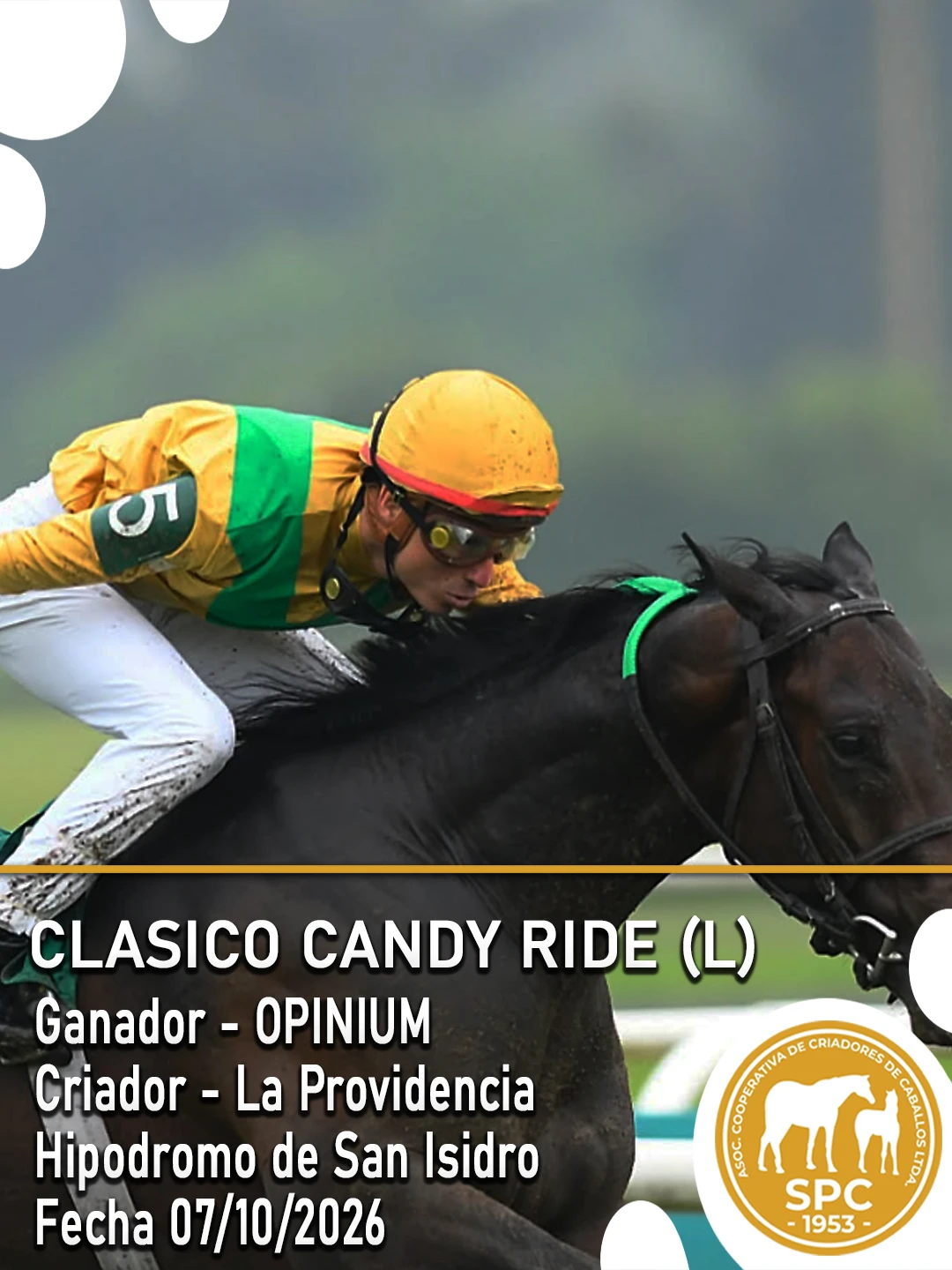 NewsletterTemporada2026-259.webp