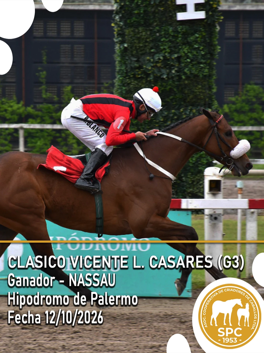 NewsletterTemporada2026-260.webp