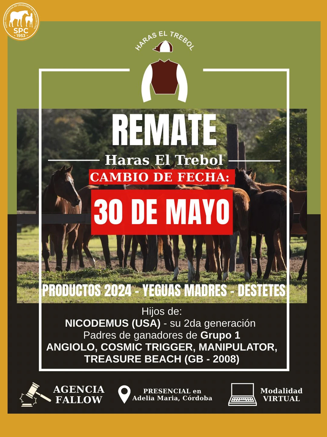 REMATEELTREBOL2.webp