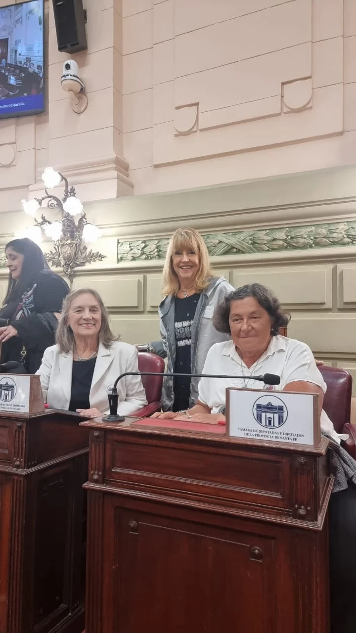 camara-diputados7-7823.webp