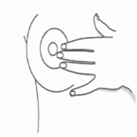Nursicare Argentina