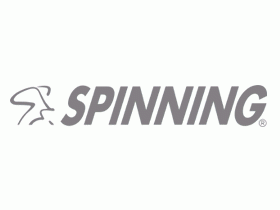 Spinning