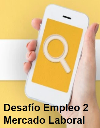 Desafío Empleo 2- Mercado Laboral