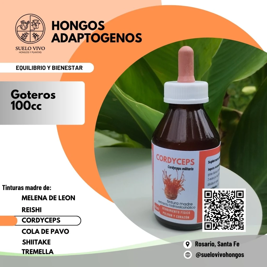 CORDYCEPS100cc-(8426).webp