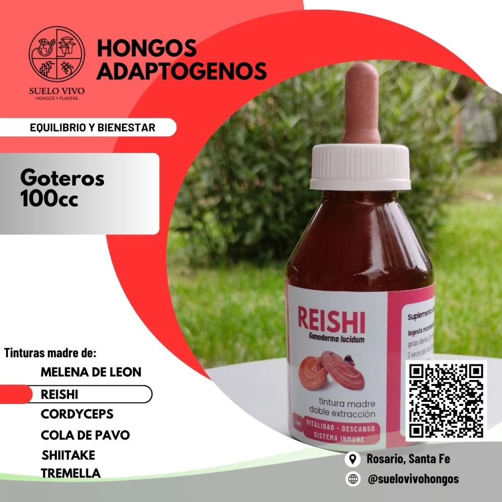 REISHI100cc-(5036).webp