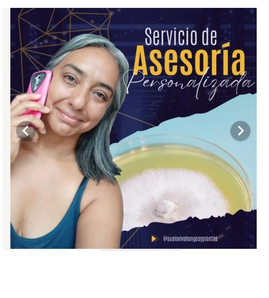 NARA ASESORIA