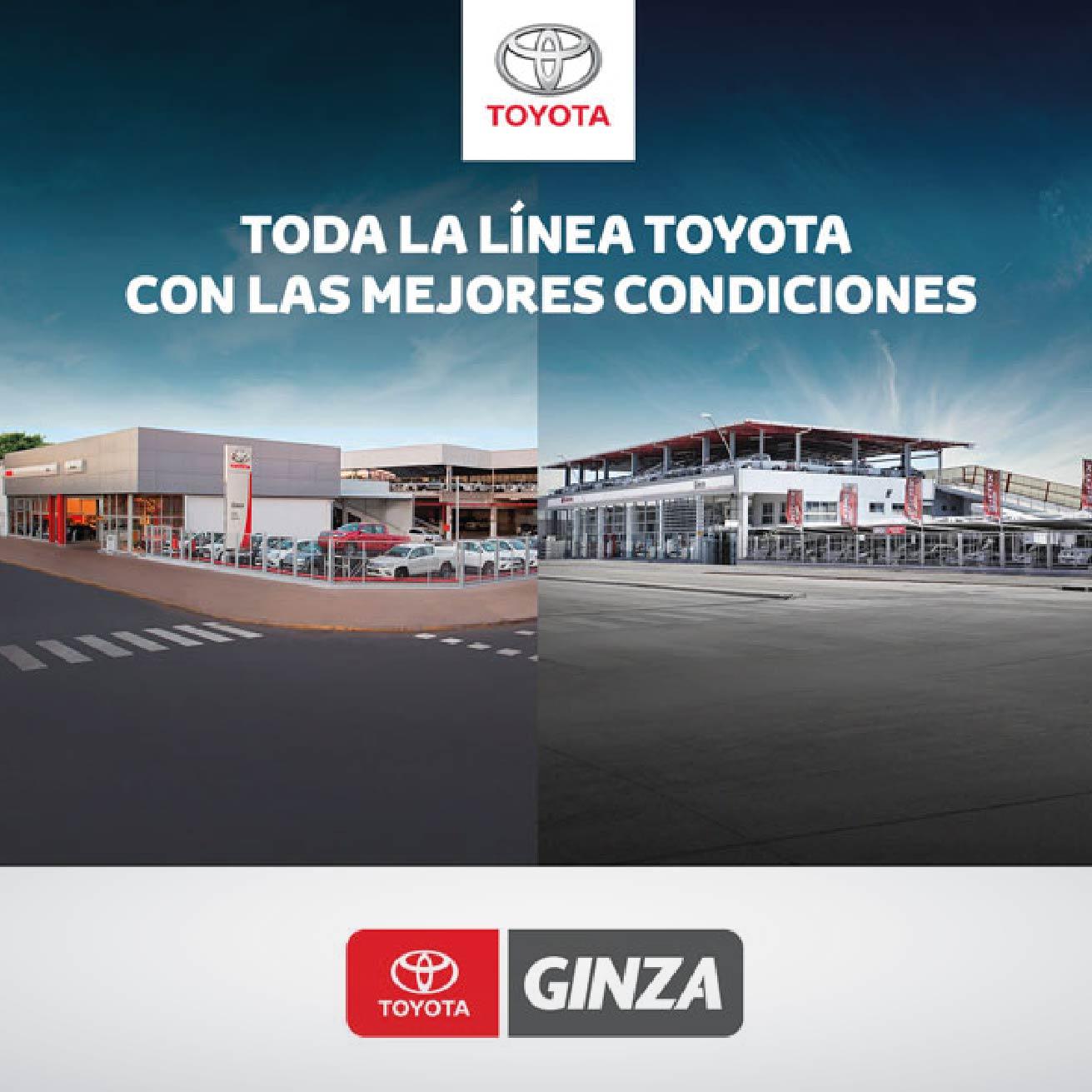 Estrategias del Mkt Digital para Ginza
