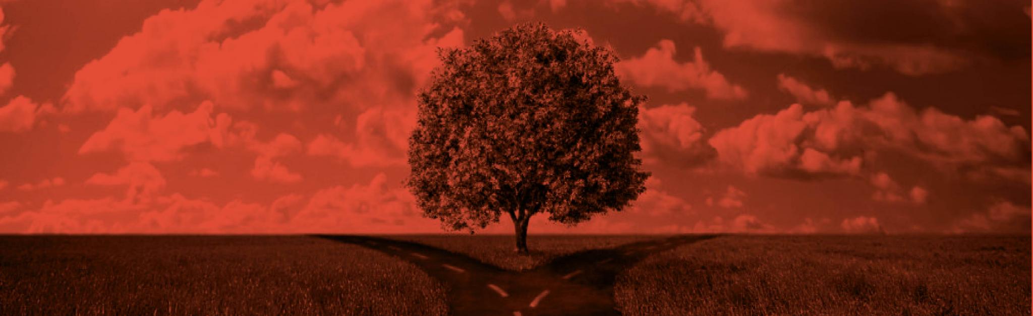 Multicanal y Omnicanal: ¿Cuál es el camino?