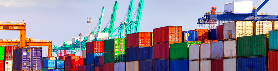 Programa de Comercio Exterior