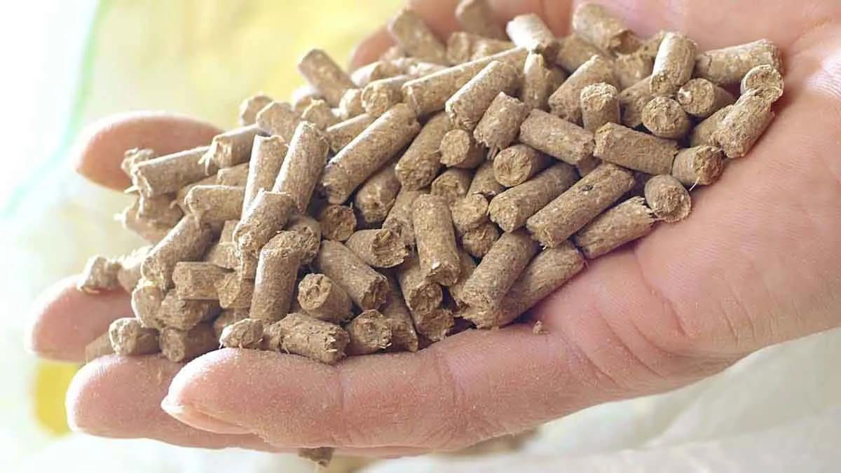 Antes de la COP30, empresas argentinas reclaman reglas claras para enfrentar el cambio climático y el hambre