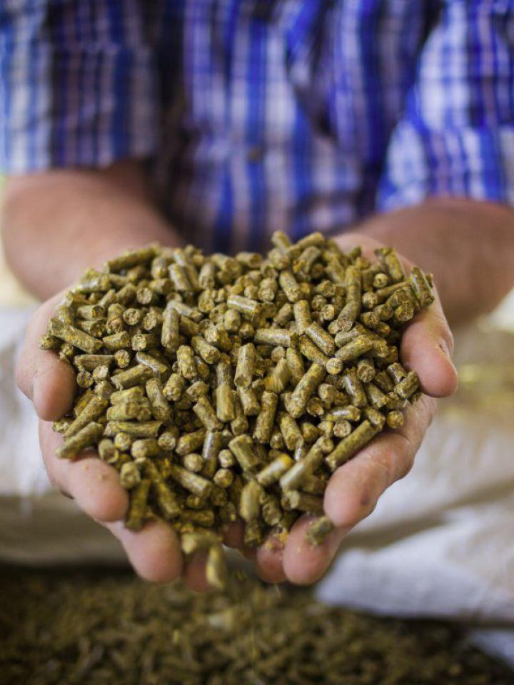 CEA 2024: un nuevo estándar para medir la nutrición animal en Argentina