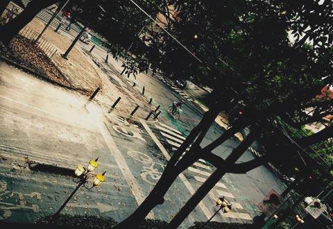 Vista en la colonia Condesa, Ciudad de México