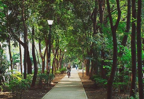 Vista en la colonia Condesa, Ciudad de México