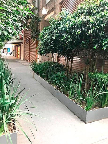 Entrada arbolada a edificio por calle Atlixco