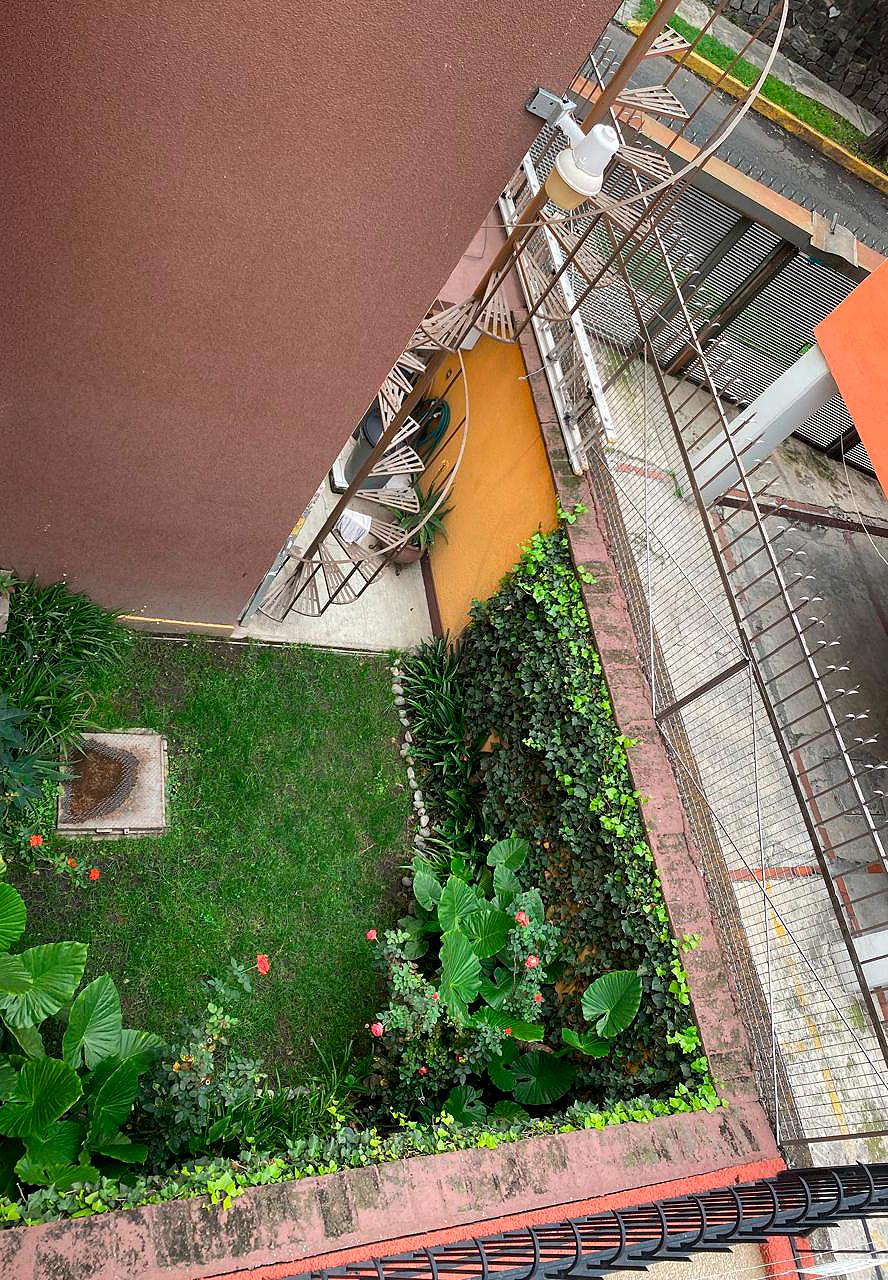 Vista aérea de jardín trasero