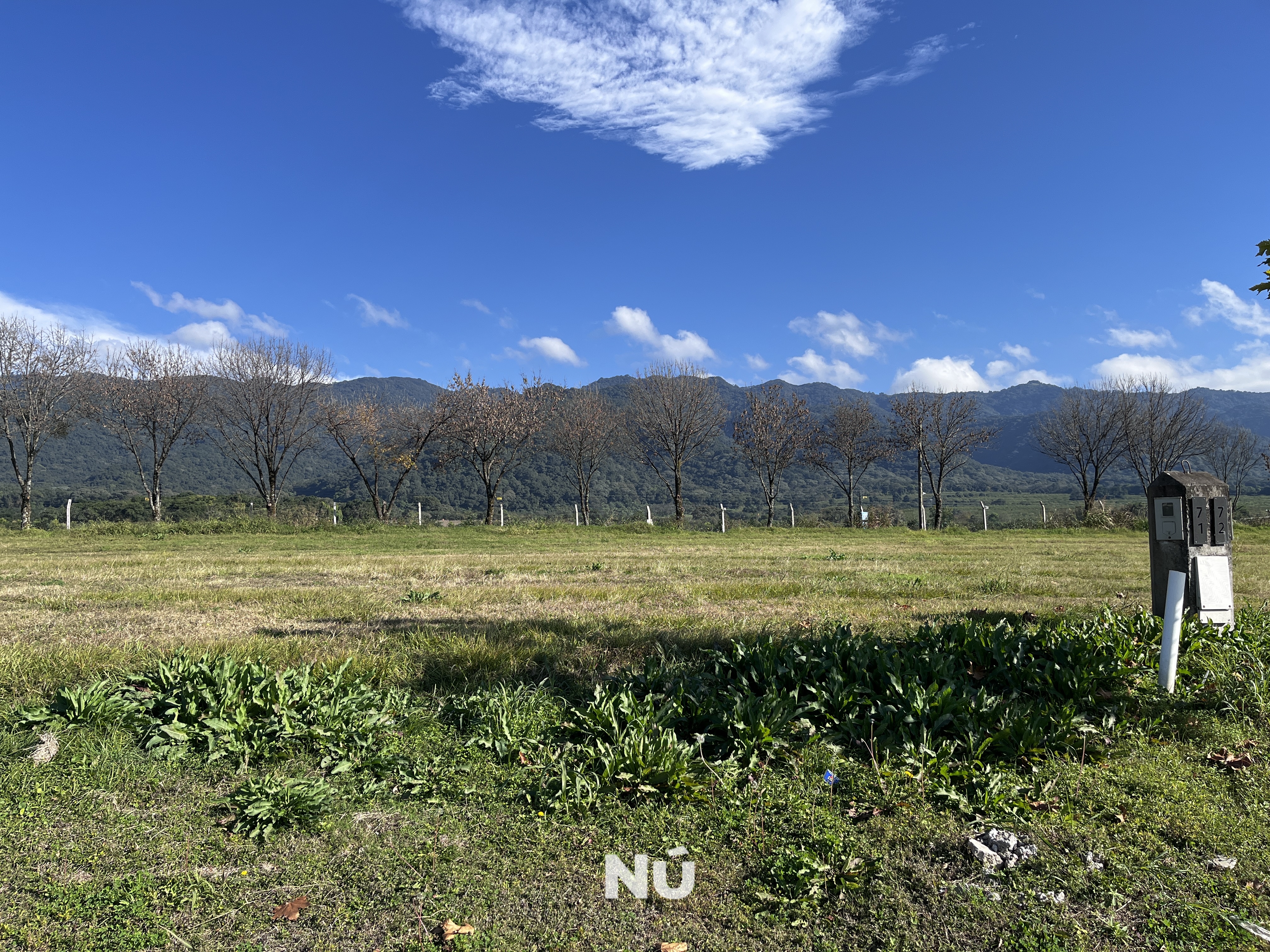 IMG7495.jpeg