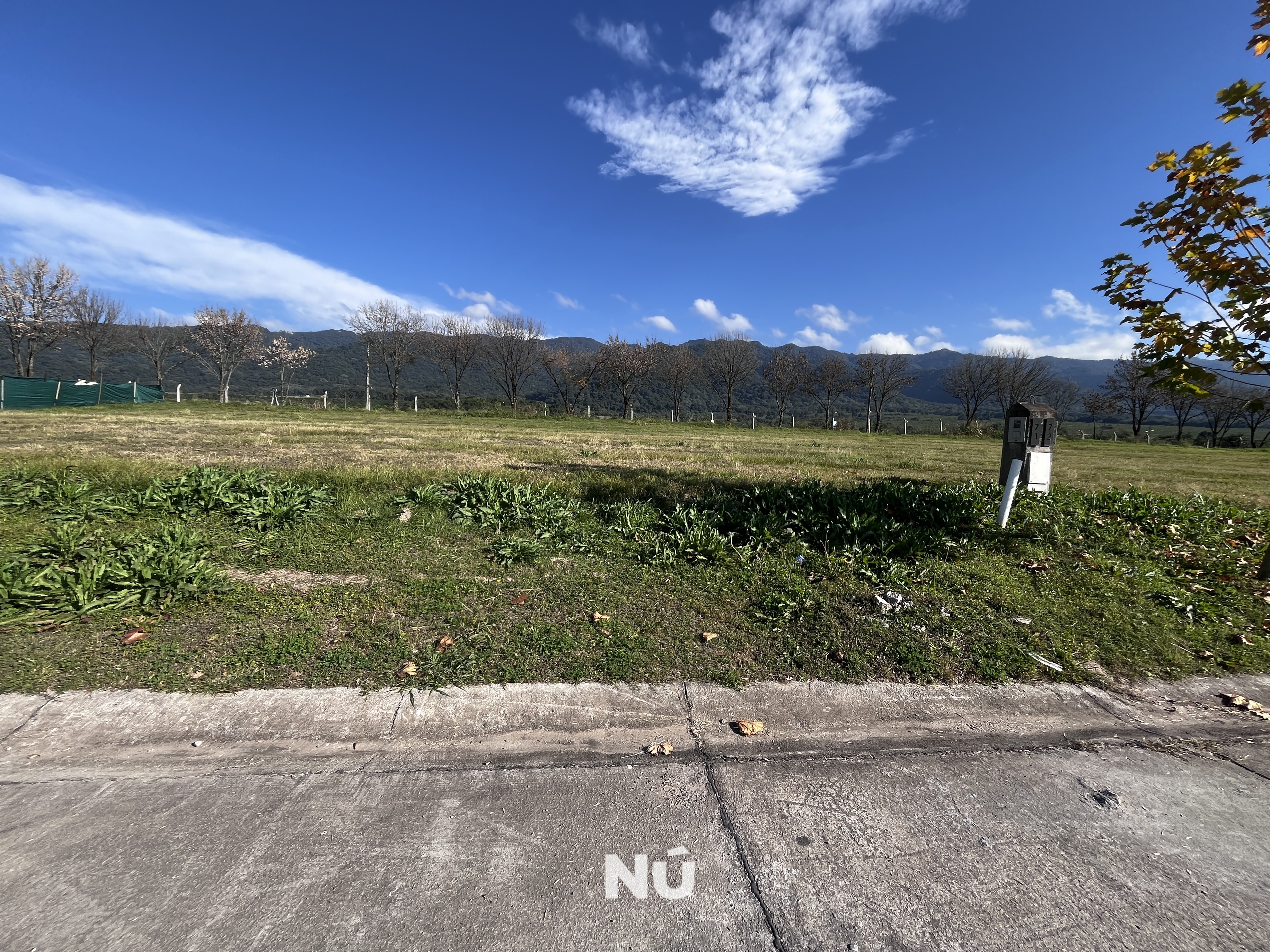 IMG7496.jpeg