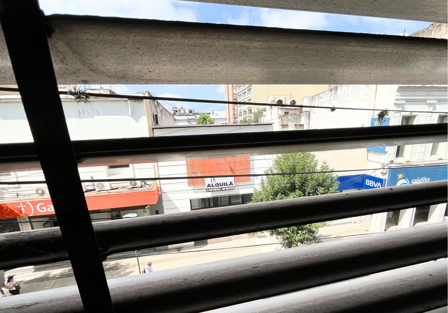 Ncleo-SanMartin70006.jpeg