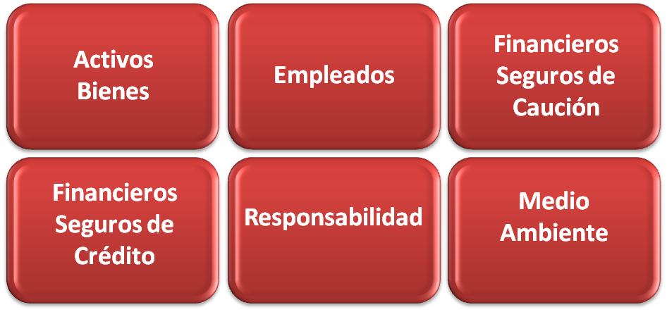 Clasificación de riesgos y seguros para PyMes
