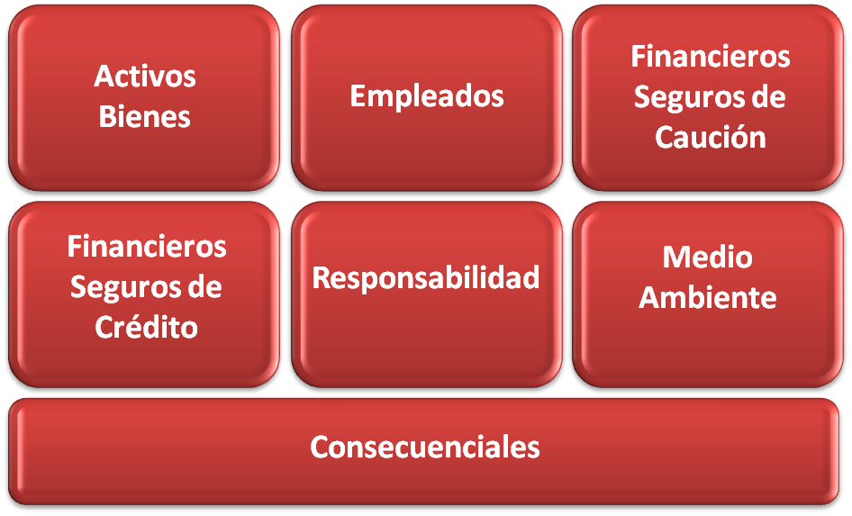 Consultoría y asesoramiento en riesgos y seguros para grandes compañías