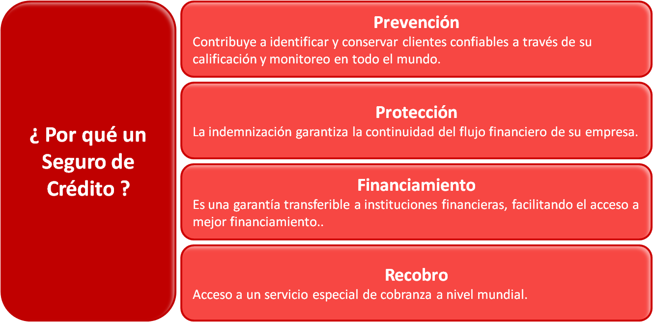 ¿Por qué un seguro de crédito?